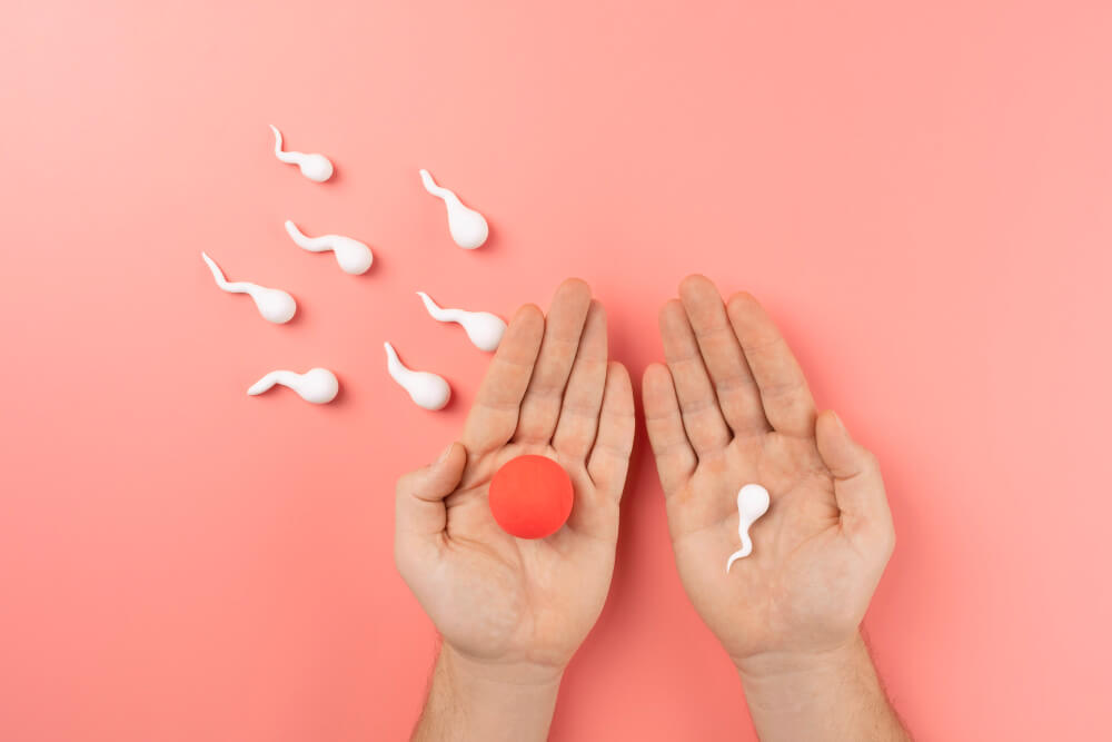 Jakie zioła i suplementy wspierają płodność u kobiet i mężczyzn?