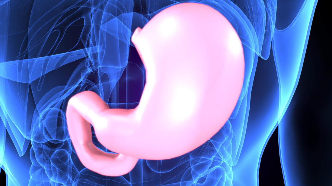 Zakwaszenie żołądka a witamina C – połączenie ryzykowne czy całkiem bezpieczne?