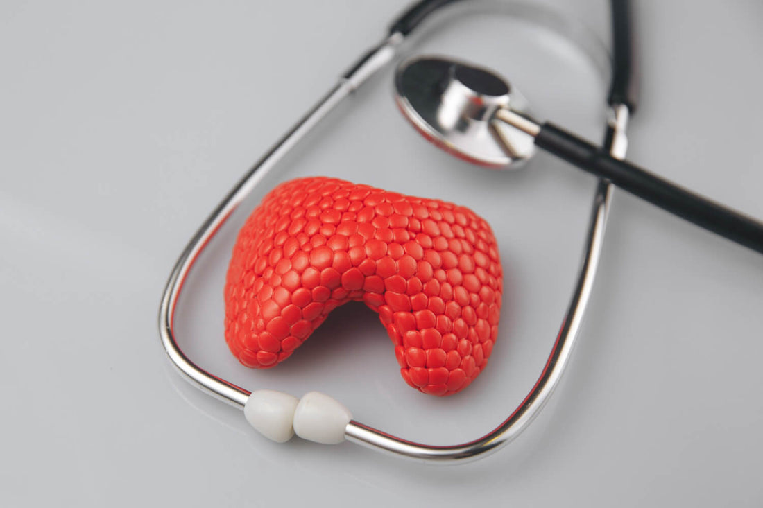 Tarczyca – czy wiesz, że te kilka witamin i ziół może pomóc w prawidłowej pracy tarczycy?