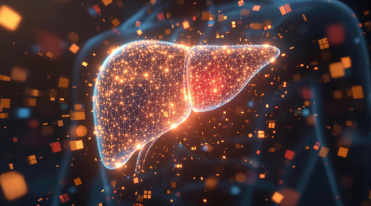 Wątroba a witamina C – wsparcie czy obciążenie? Oto, co mówią badania