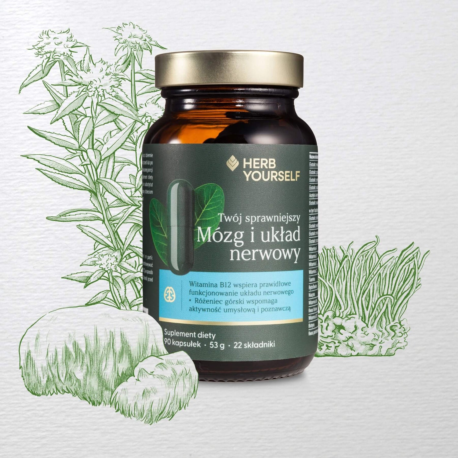 suplementy na koncentracje