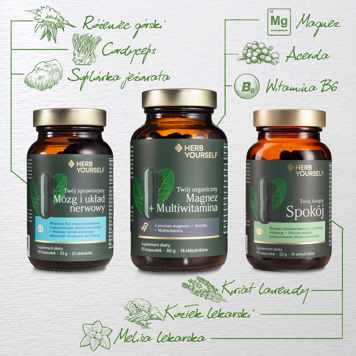 Zestaw energia i Koncentracja