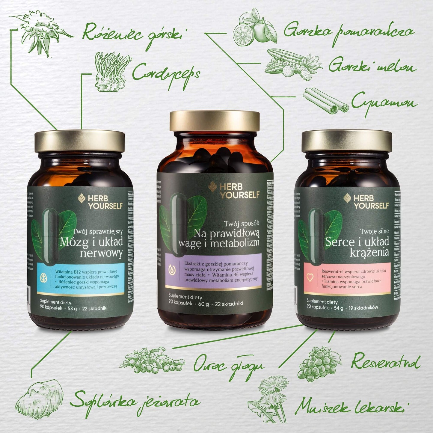 Zestaw Długowieczność i witalność